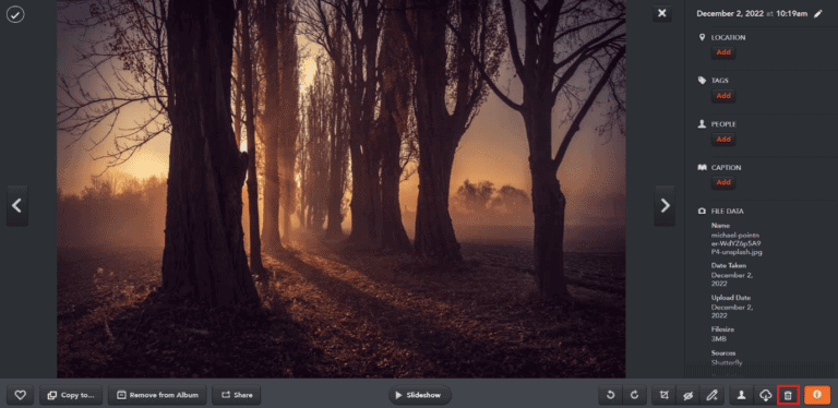 How to Delete Photos from Shutterfly – TechCult