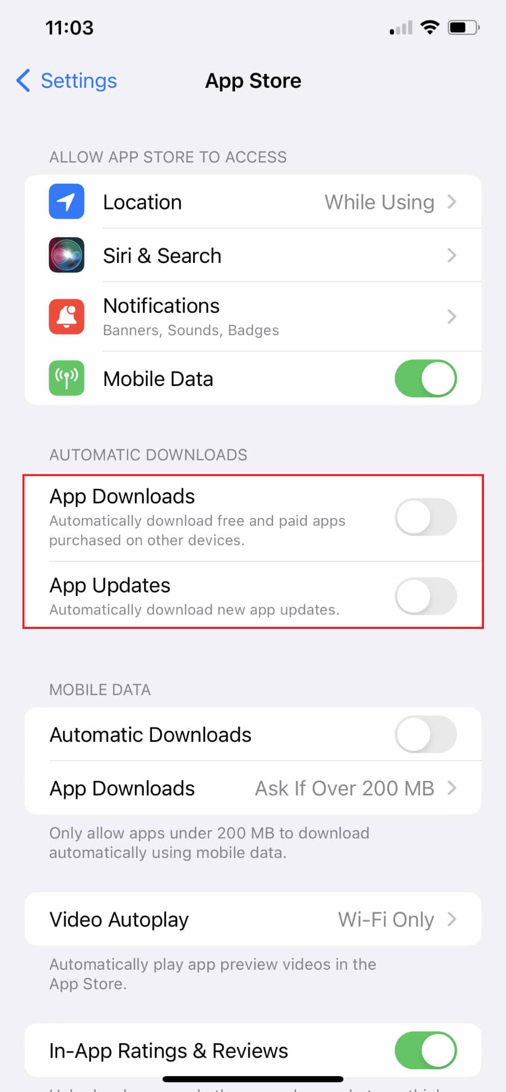 Turn Off App Downloads and App Updates 