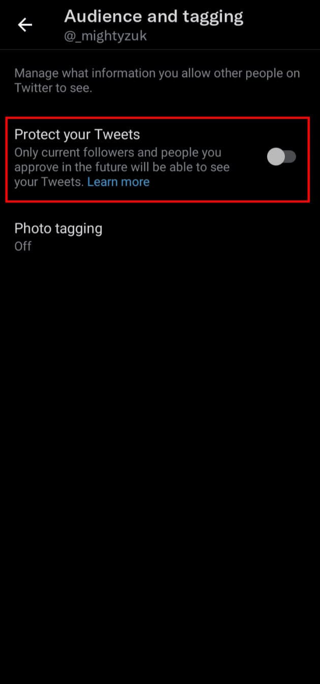 Turn on the toggle for Protect your Tweets