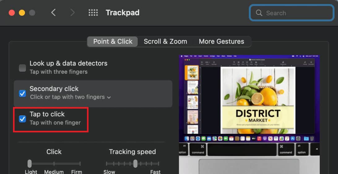 unselect the Tap to Click option in the Point & Click header.
