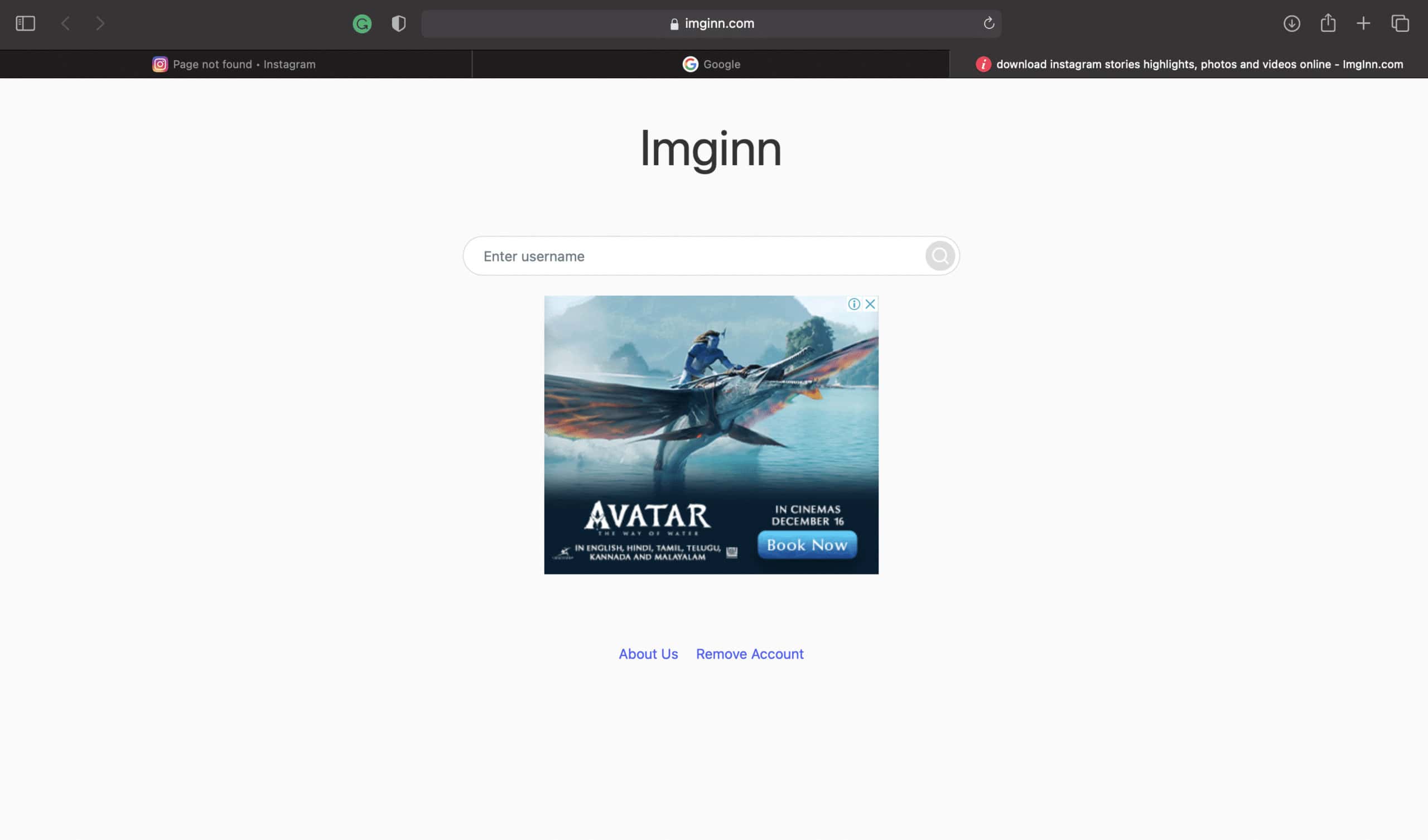 Imginn website |