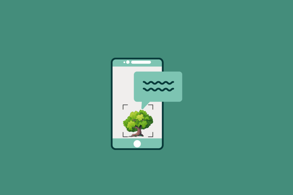 17 Best Apps for Identifying Trees