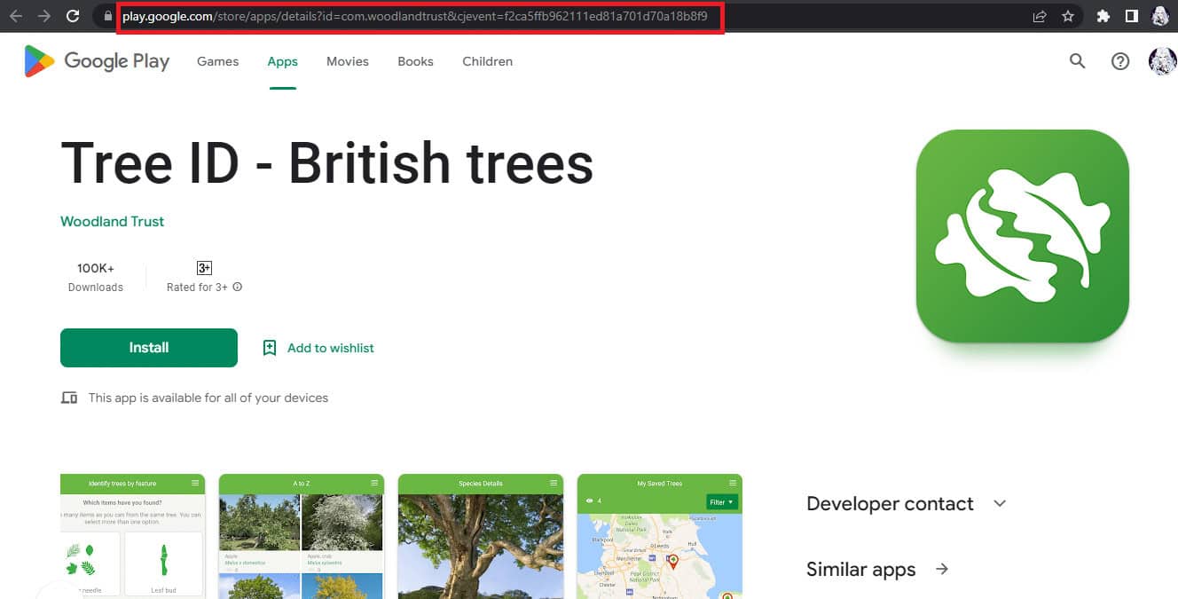 British Tree Identification