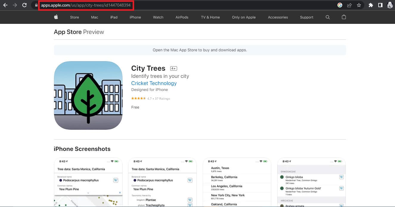 City Trees