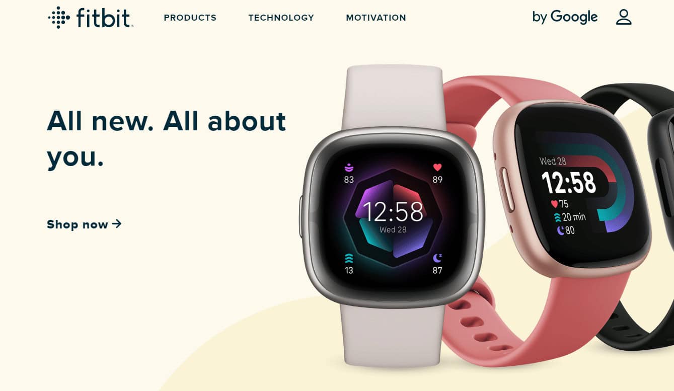 Fitbit website