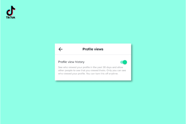 How to Turn On and Off Profile View History on TikTok TechCult