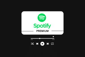 Is Spotify Premium Worth It? – TechCult