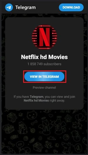 Netflix HD Movies telegram channel