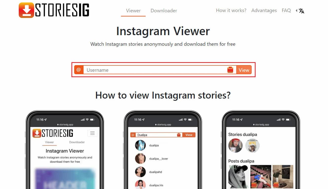 Paste the copied username in the given Username box and click on View