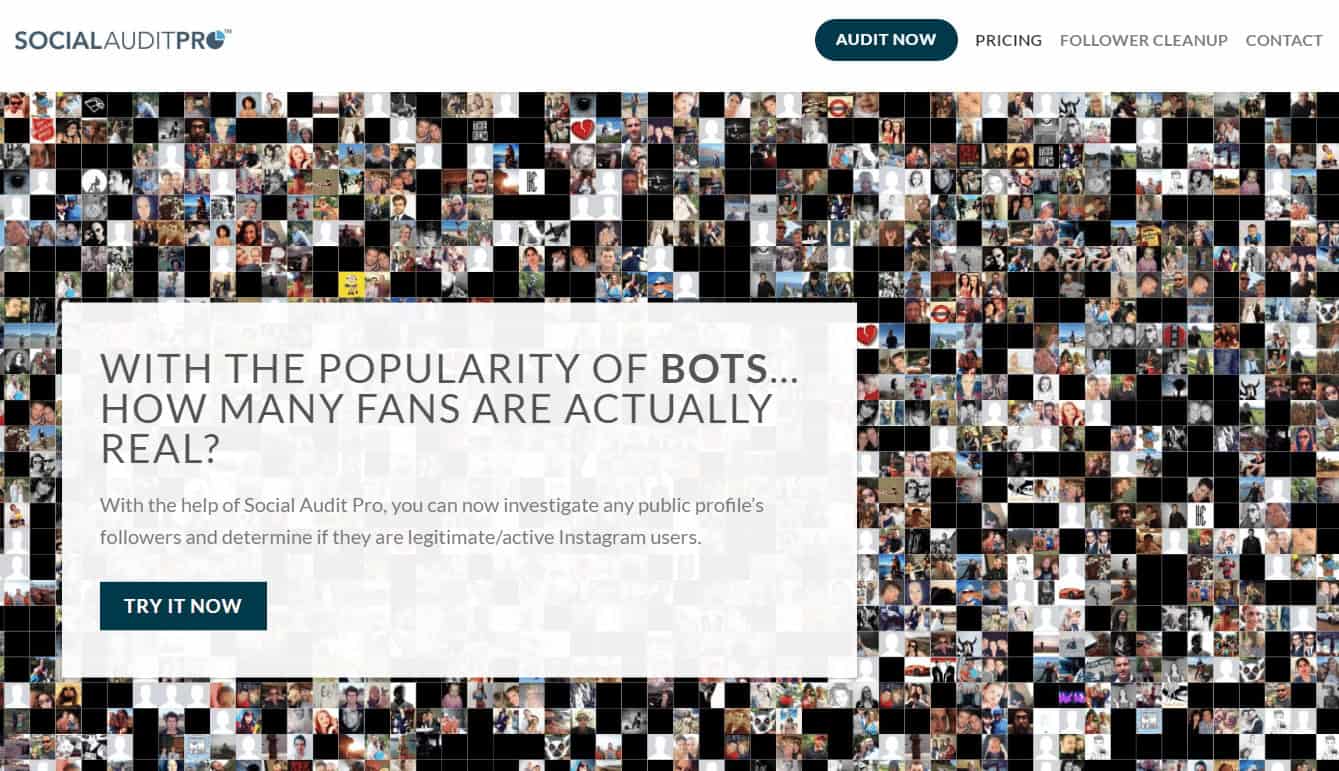 Social Audit Pro