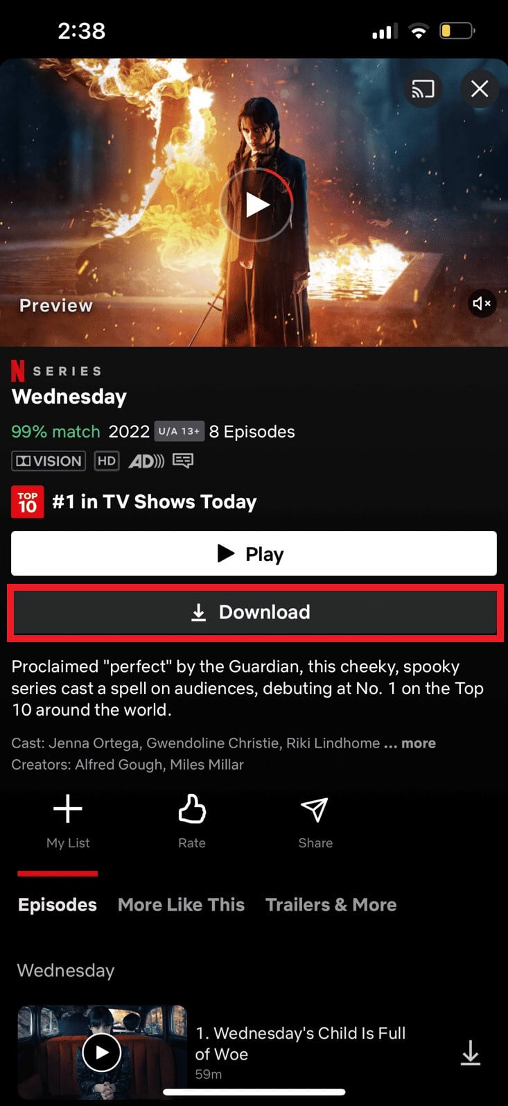 Tap on the Download option | Do You Need Internet for Netflix on Smart TV?