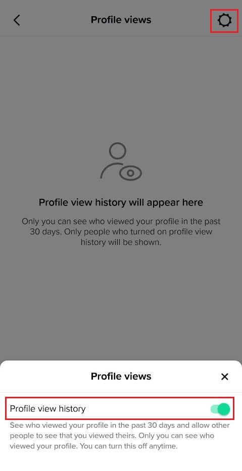 Turn off the toggle for the Profile view history option