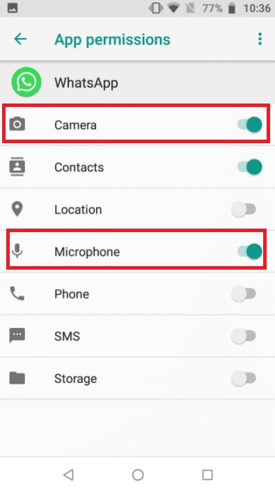 Turn on the toggles for the Camera and Microphone options