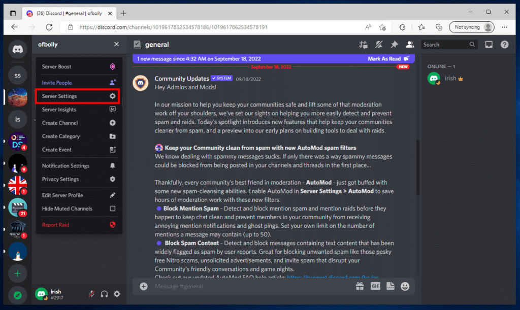 Click on Server Settings