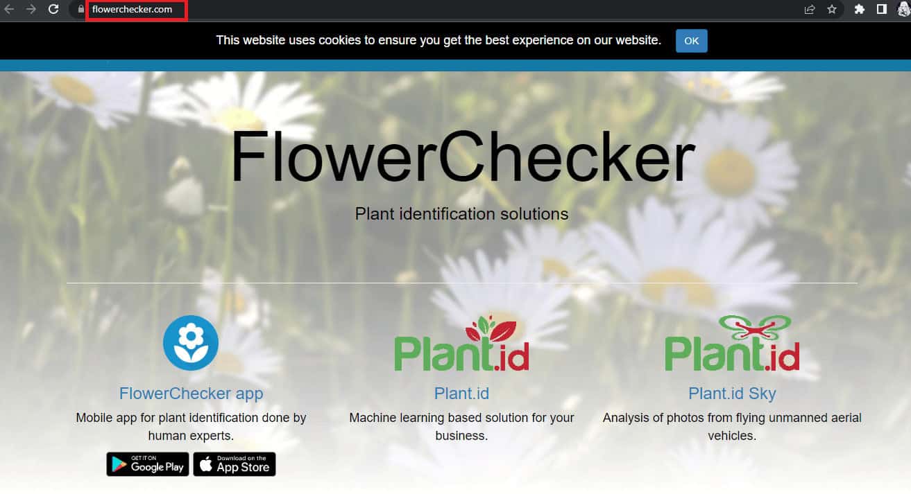 FlowerChecker homepage | Best Apps for Identifying Trees by bark