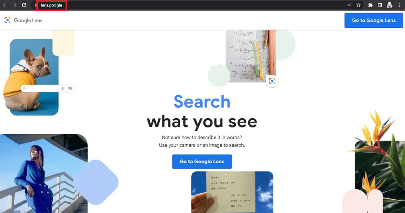 Google Lens homepage