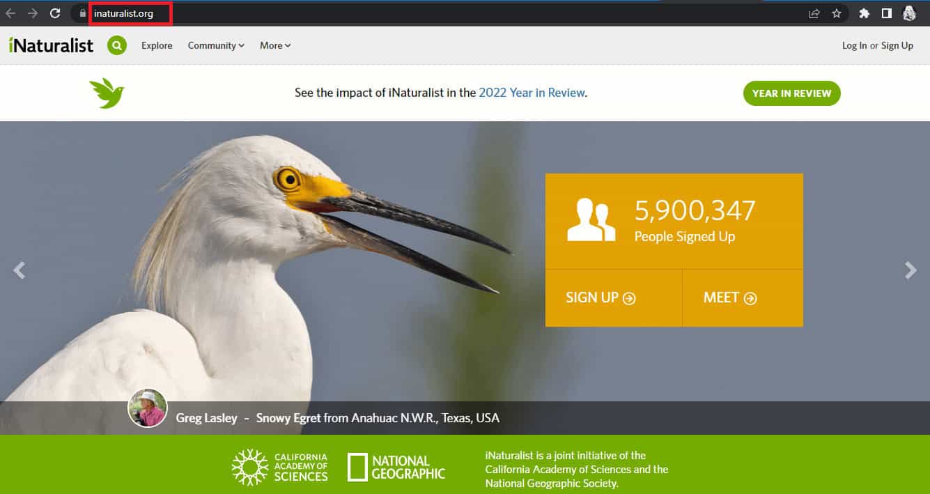 iNaturalist homepage