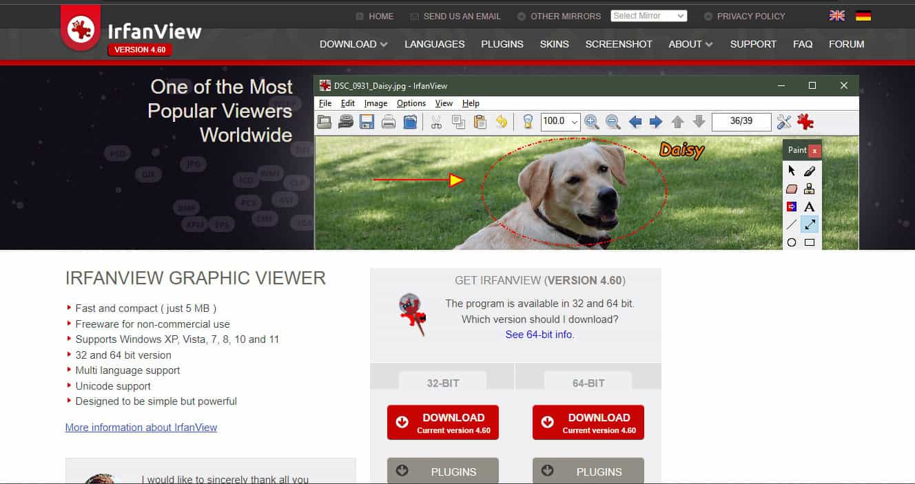 IrfanView web page.png