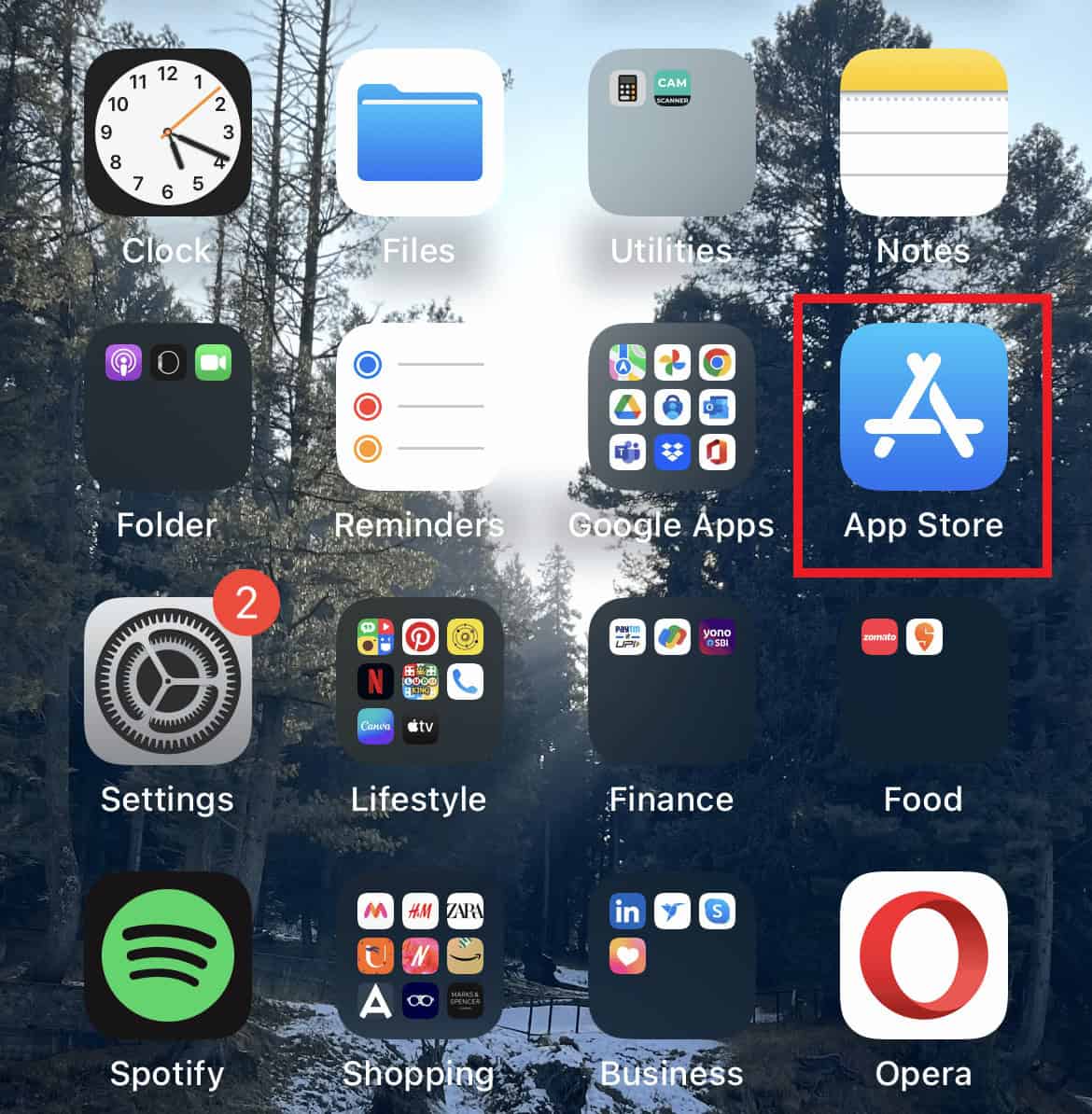 Launch App Store