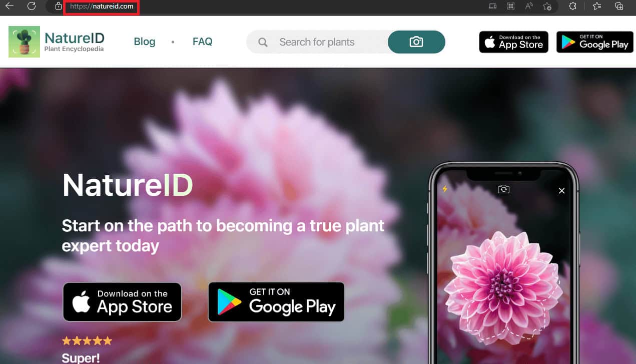 NatureID homepage | Best Apps for Identifying Trees by bark