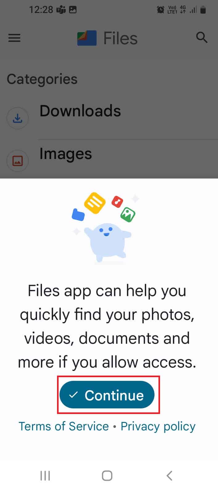 Open the Files by Google app and tap on the Continue button