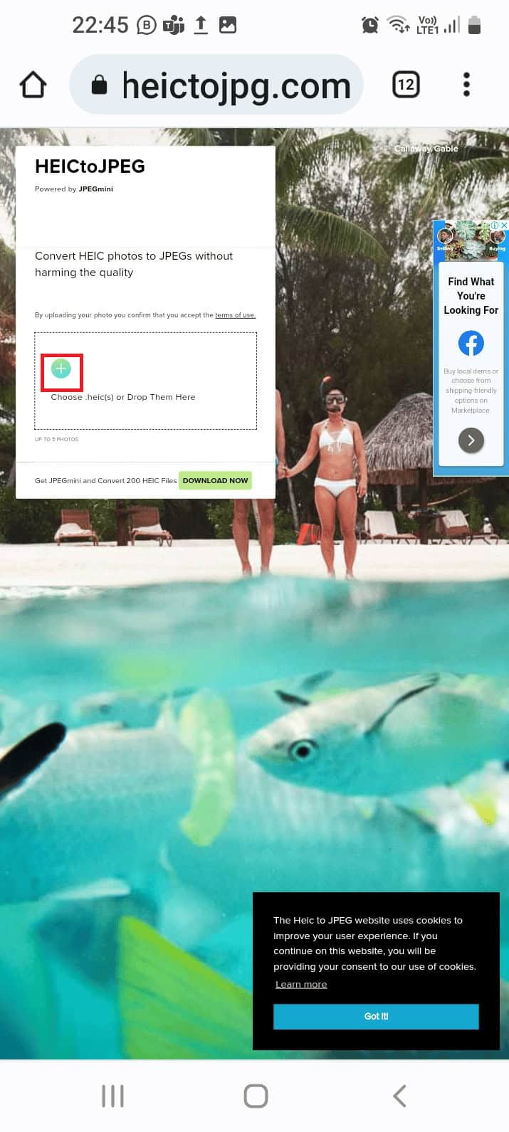 Open the HEICtoJPG website and tap on the + sign