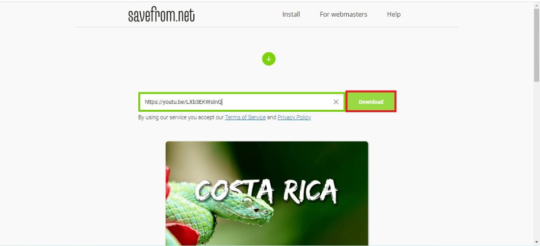 pasting the video's link