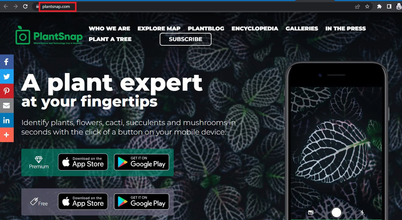 PlantSnap homepage | Best Apps for Identifying Trees by bark
