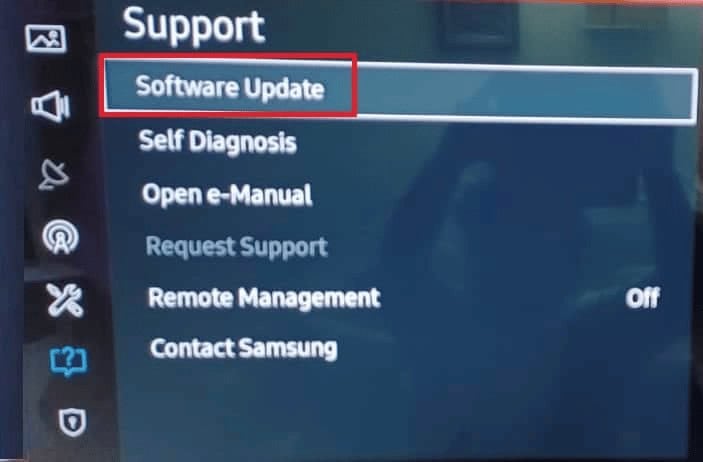 Select Software Update