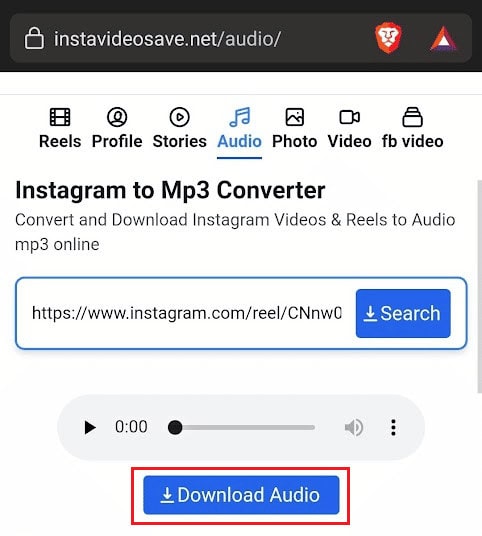 tap on the Download Audio option