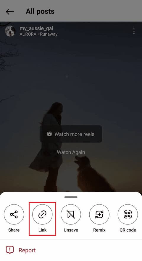 tap on the Link option to copy the link of the reel or post