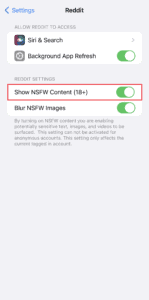 How to Turn On or Off NSFW on Reddit – TechCult