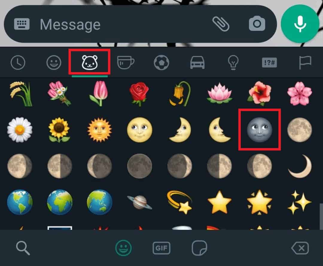 Emoji icon from the chat box - Animals emoji tab - black moon emoji
