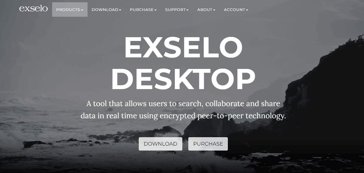 Exselo Desktop website