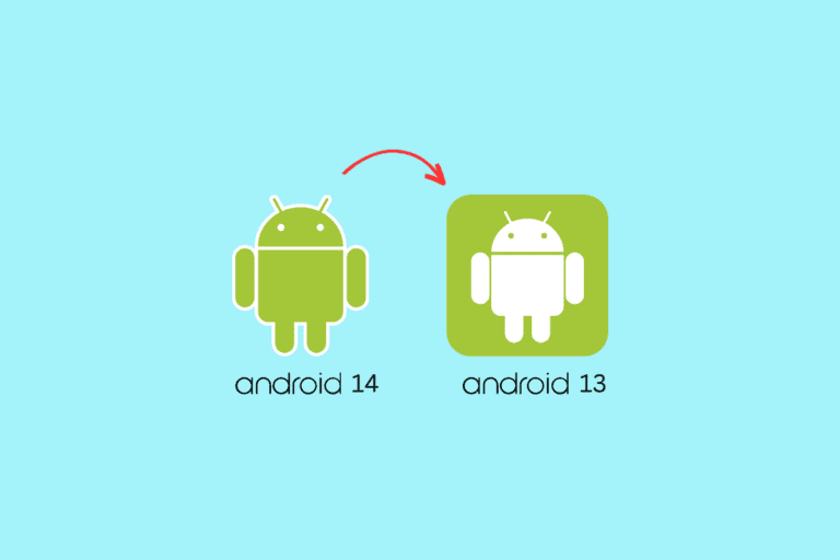 How to Downgrade from Android 14 to Android 13 – TechCult