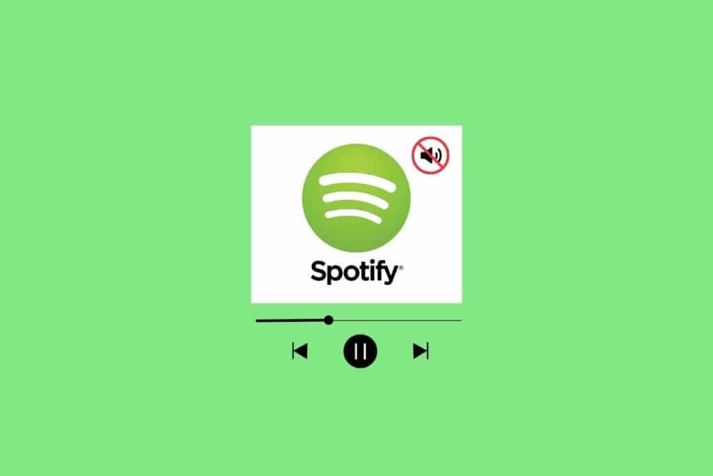 Fix No Sound on Spotify on Android