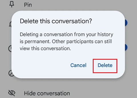 Tap on Delete from the popup | can I delete Google Chat from my phone