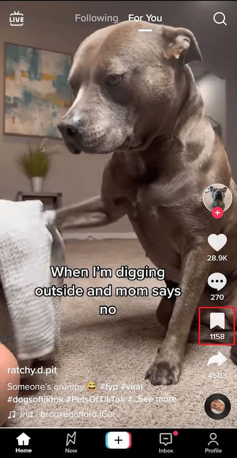 Tap on the Bookmark icon from the right pane