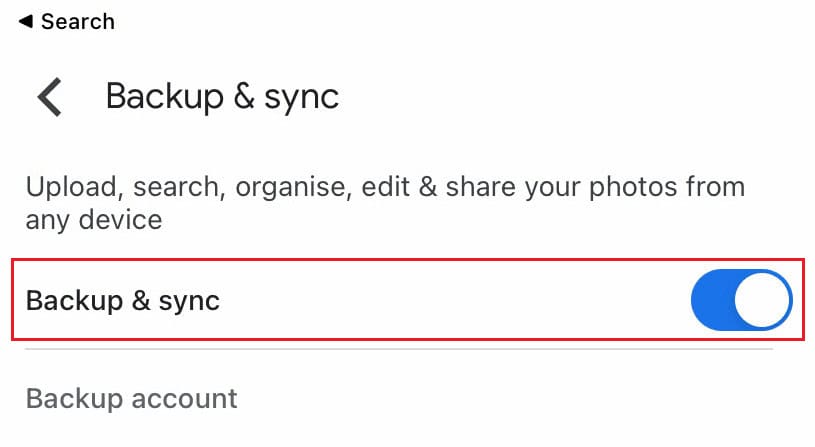 Turn on the toggle for the Backup and sync&nbsp;option