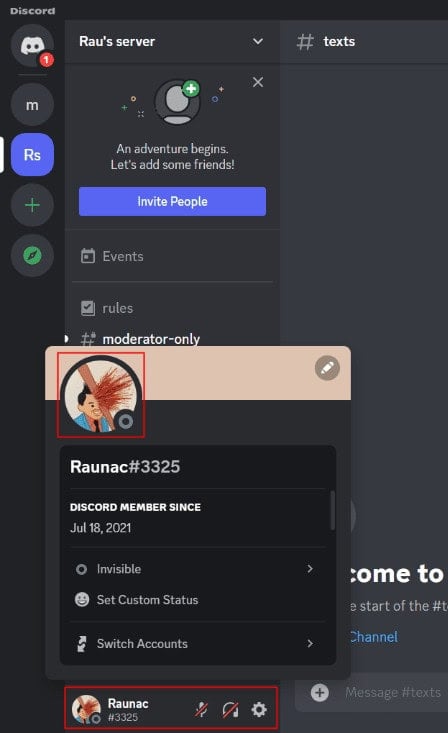 Avatar highlighted with Invisible status icon on a Discord server