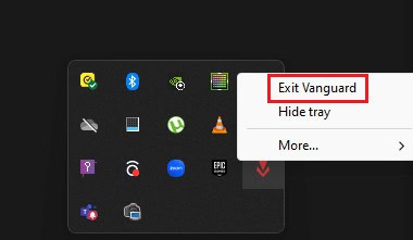 exit vanguard. Fix Destiny 2 Error Code Plum