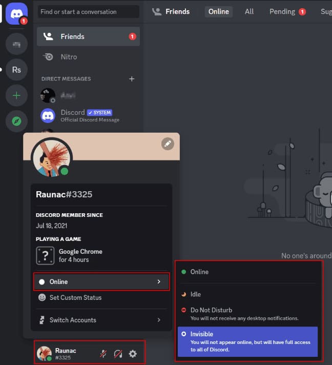 Invisible status highlighted