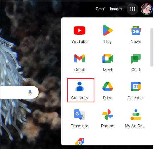 click on the Google Contacts option