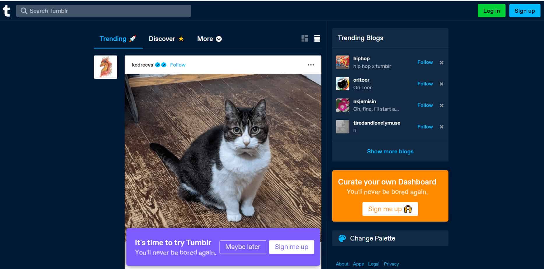 Official Webpage of Tumblr