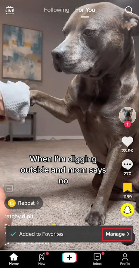 on Manage to see all your bookmarked favorite TikTok videos