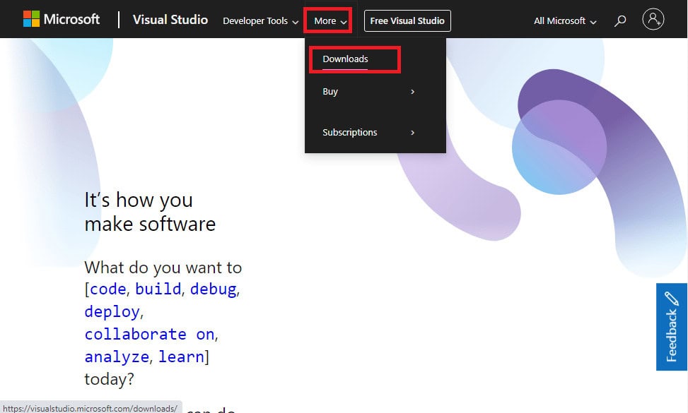 downloads visual studio