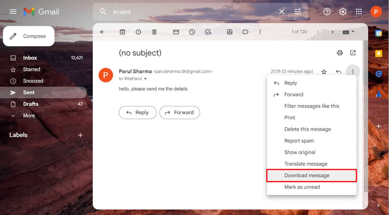 select the Download message option | how to backup Gmail