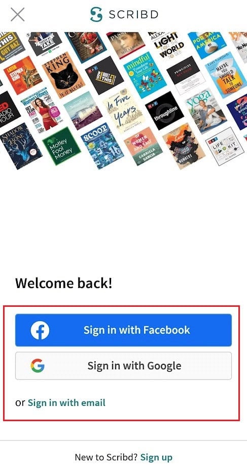 sign in options