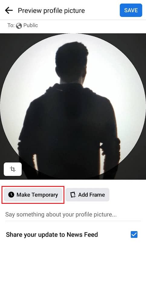 tap on Make Temporary | How to Add a Temporary Profile Picture on Facebook