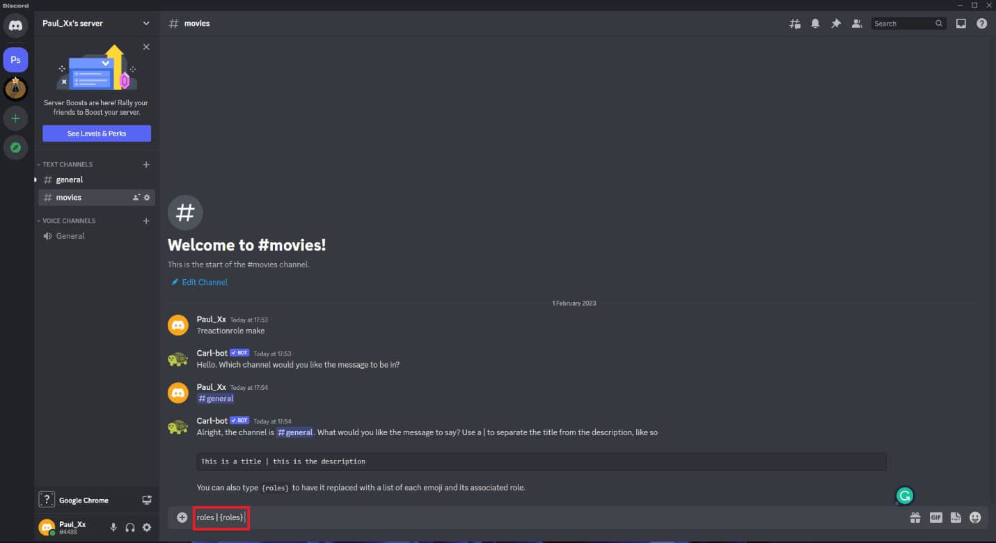 roles command